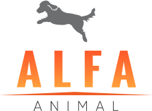 Hospital Alfa Animal