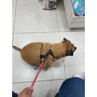Foto de Tuso Ramirez